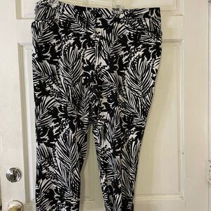 Lane Bryant Black and White Leaf Print Pants size 22